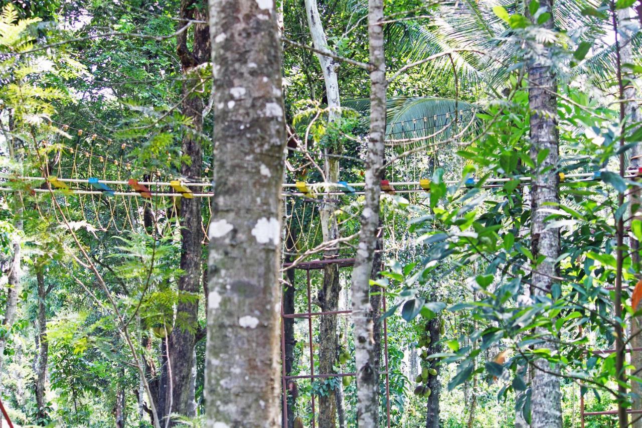 Cs County Resort Sakleshpur Luaran gambar